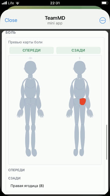 Экран: Карта боли