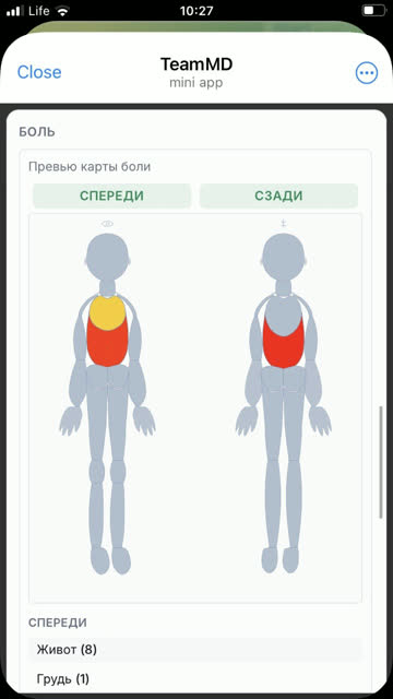 Экран: Карта боли
