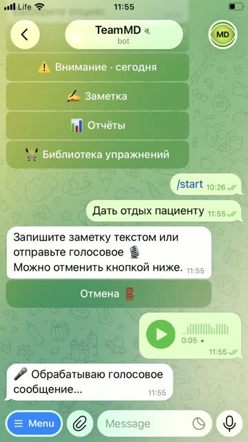 Экран: Отправьте голосовое