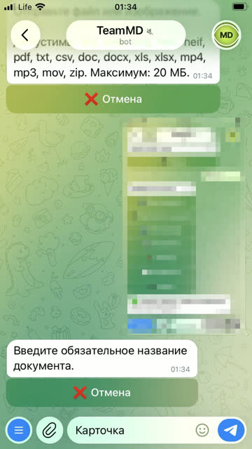 Экран: Файл или фото