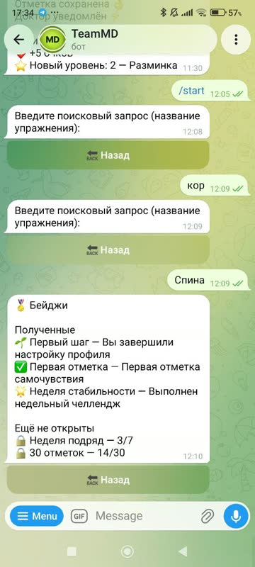 Экран: Полученные бейджи